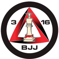 316 BJJ logo